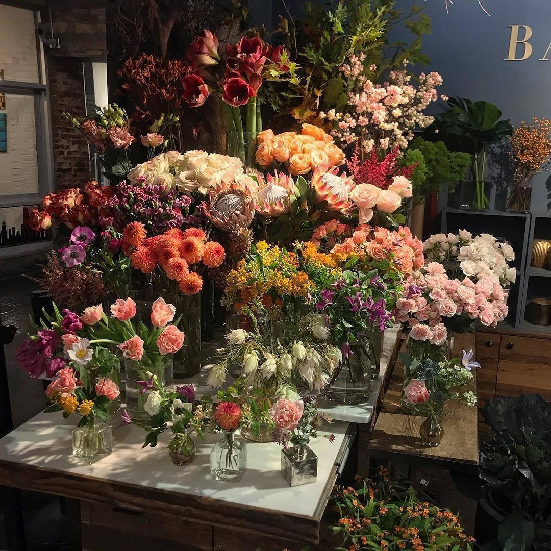 flowers