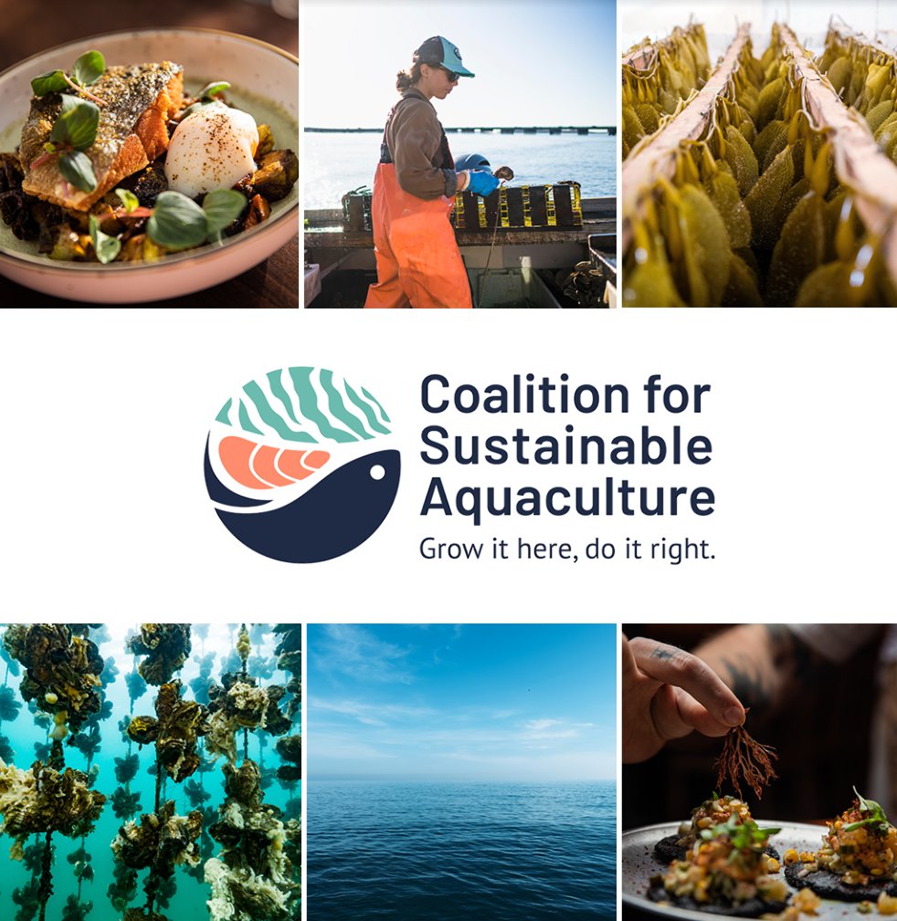 Theteamatx's tweet photo. Project Tidal is pleased to join the Coalition for Sustainable Aquaculture to support the creation of technologies to monitor and protect the ocean while feeding humanity sustainably. https://t.co/K3Y4KxJf4H https://t.co/HFf8pMGAiH