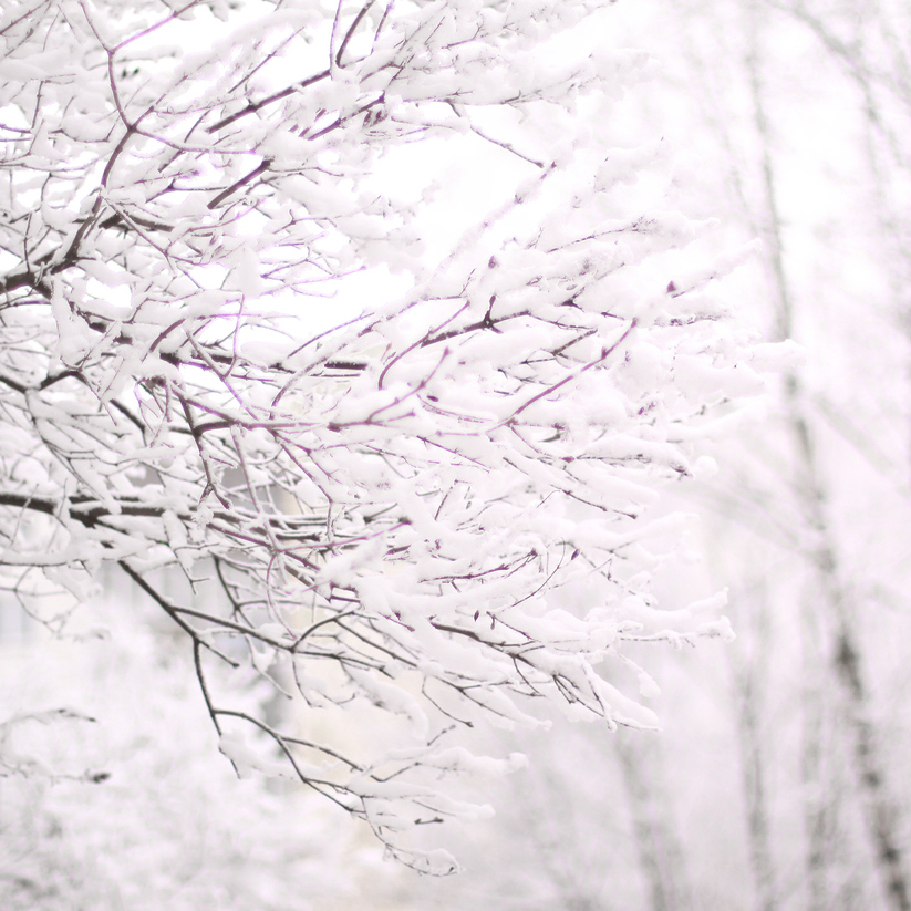 PDXsRealEstate's tweet photo. Due to inclement weather we will be closed today. We expect to be open tomorrow. Stay warm! https://t.co/WAK4ktFsq9