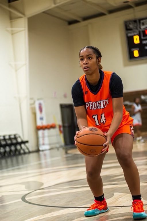 Lady Phoenix Basketball tweet media