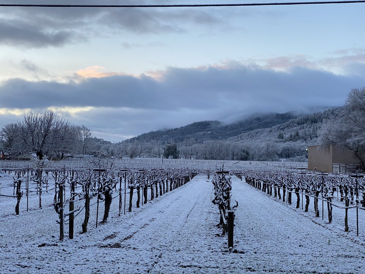 #snow on the vineyards this morning! Now that’s something you don’t see everyday. Last pic. @NWSEureka @AccuVideoTeam @ABC7 @weatherchannel #CAWS #cawx #winecountry #NorCal #mendocinocounty #ukiah #California