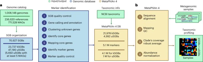 Extending and improving metagenomic taxonomic profiling with uncharacterized species using MetaPhlAn 4 go.nature.com/3SwLqQA