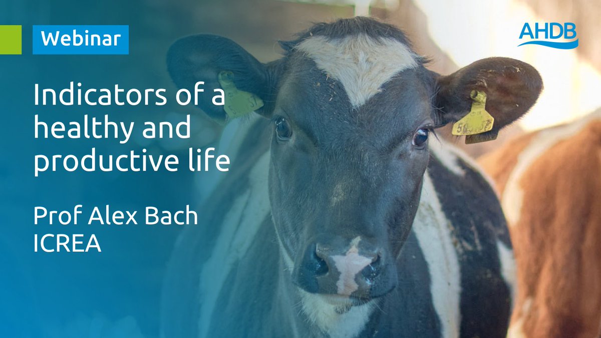 AHDB Dairy on Twitter "Missed our webinar last week with Dr Alex Bach