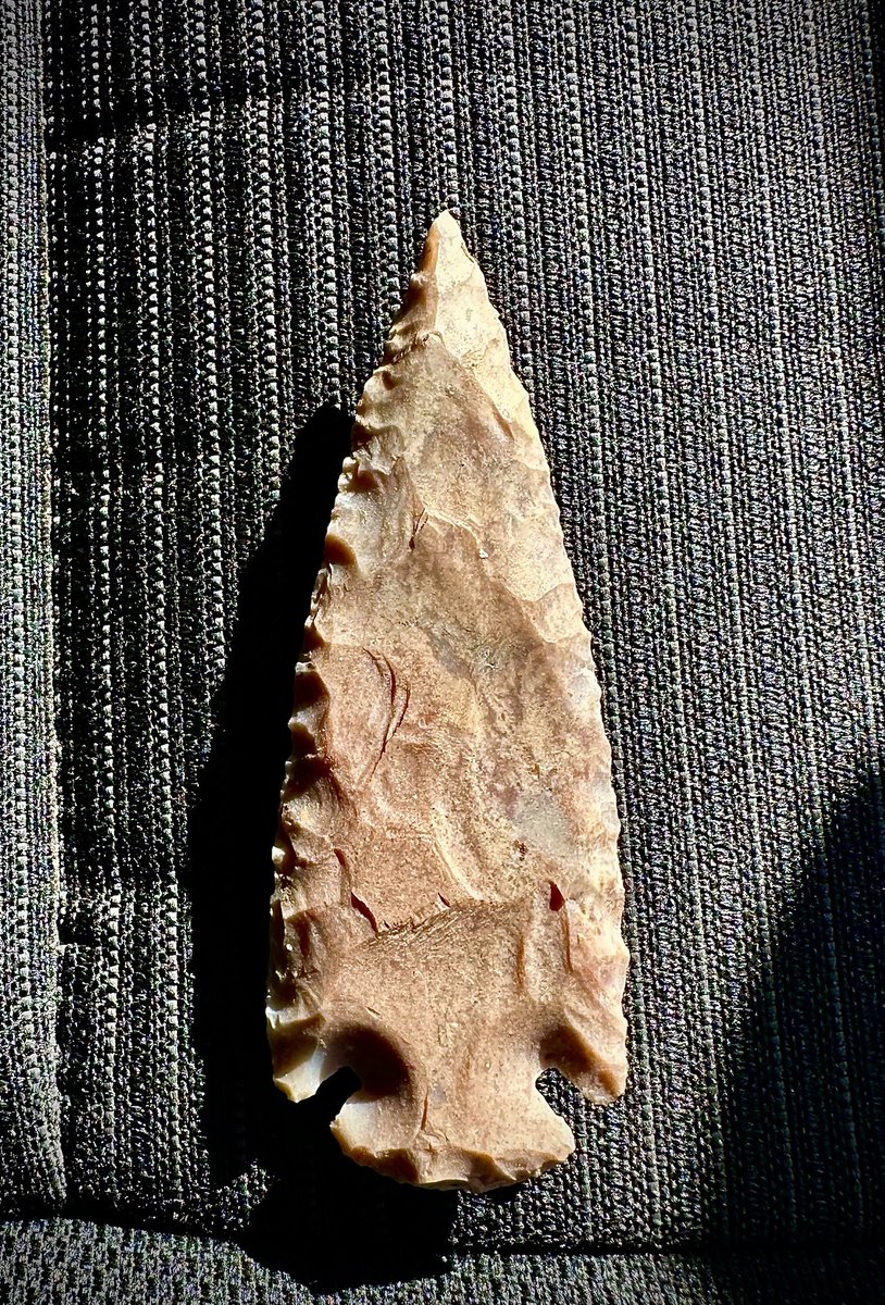 carson96koehler's tweet photo. GM from this gem! 

Congrats to my brother @cort15687537 for scoring this absolute beauty! 🔥💯

#arrowhead #texasnative #texas https://t.co/5lbfJndyxa