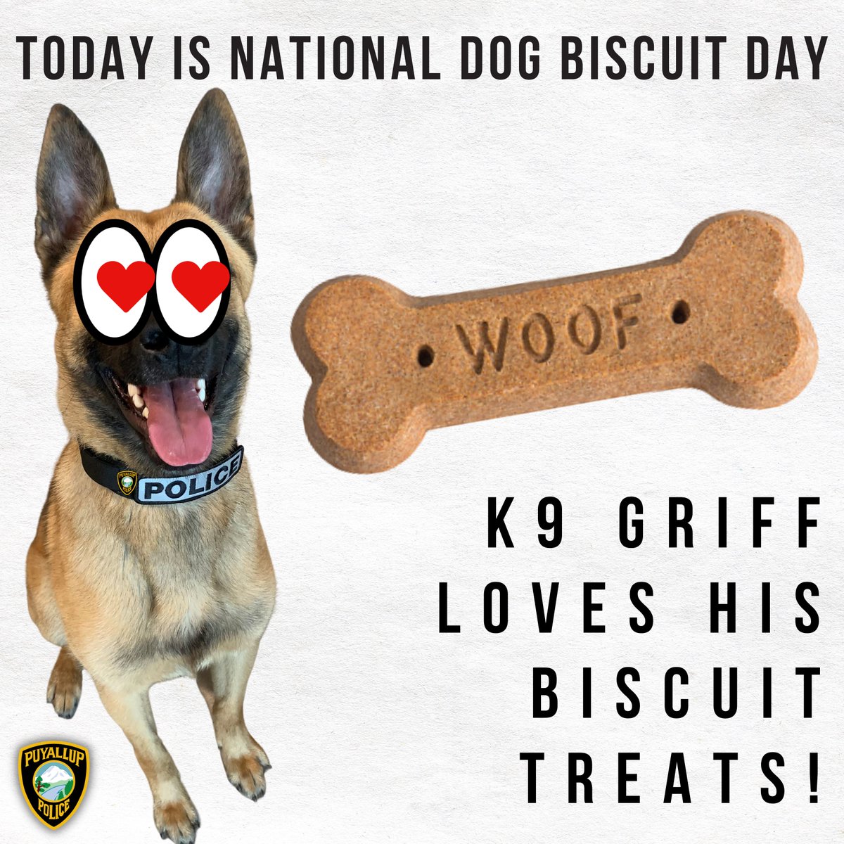 Puyallup Police on Twitter "It's National Dog Biscuit Day!! Be sure to