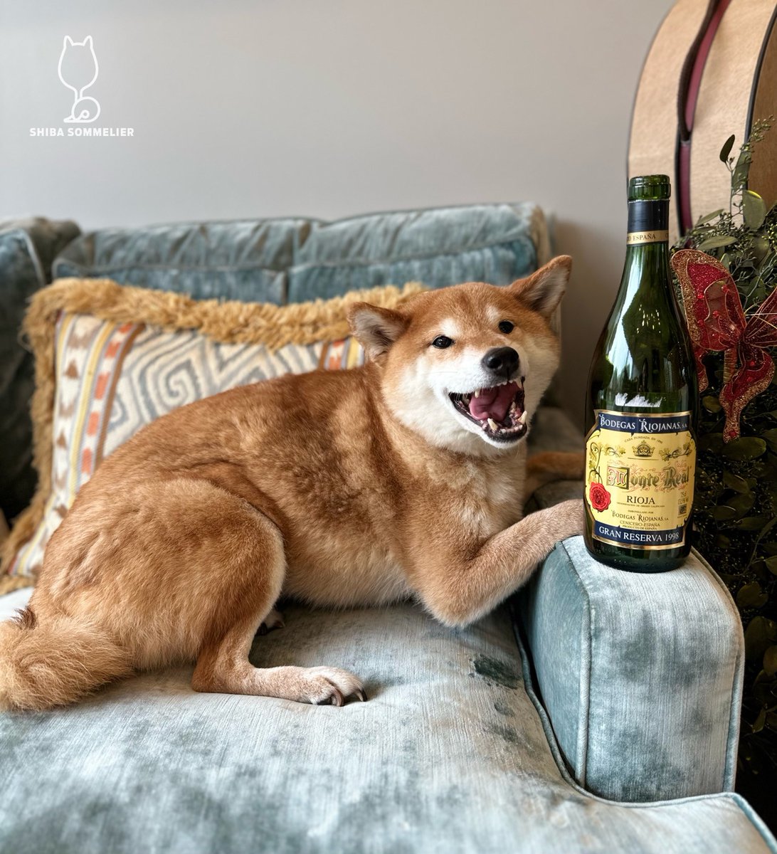 ShibaSommelier's tweet photo. 1998 @RiojanasUSA @bodegasriojanas Monte Real Gran Reserva: #3bones
Pretty psyched about this 25-year old Rioja! Red cherries, plums, church pews, incense, dark wood, clove, and coriander on the nose. Despite its age, very ripe fruit on the palate with loads of plums and cherries https://t.co/3RraQ1TQZG