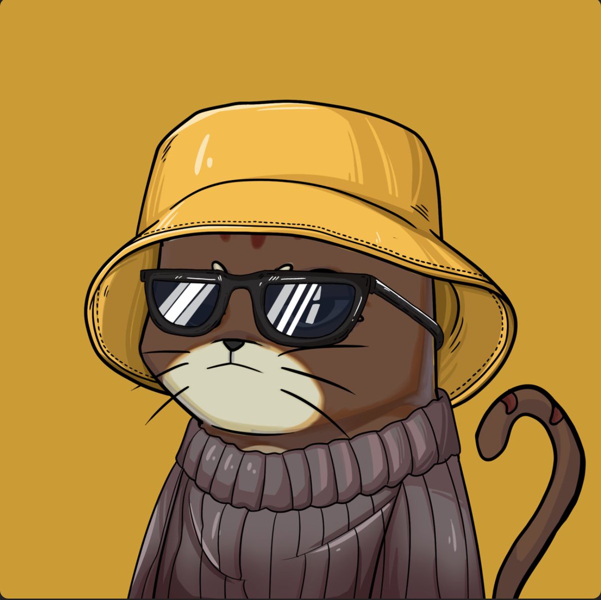 theAllenJake's tweet photo. @FatCatsCapital @soldrop_io The FCC is here! https://t.co/6jhD0JazTr