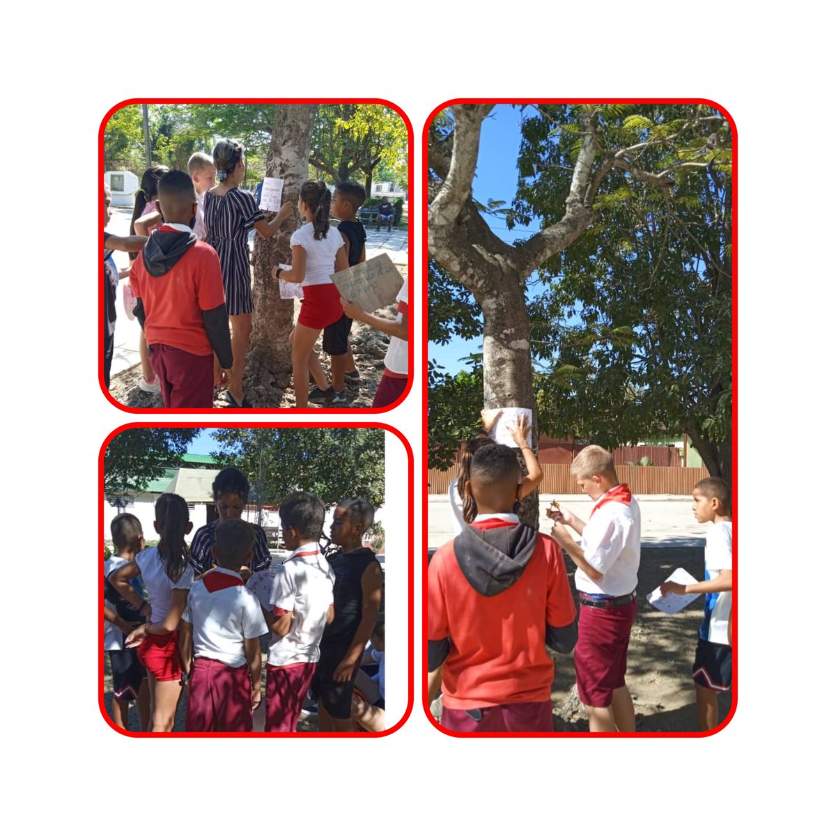 ComunicacinIns7's tweet photo. Los pioneros de la Primaria Camilo Cienfuegos de #LosArabos #Matanzas apoyan las elecciones el próximo 26 de marzo porque #CubaElige.
#MejorEsPosible
#JuntarYVencer
#CubaMined
#DPEMatanzas
#GobMtz
#LosArabosEnVictoria
#SuselyMorfa
#EdilbertoCasanova
#BarbaraHerrera https://t.co/AGCvb5tR4D
