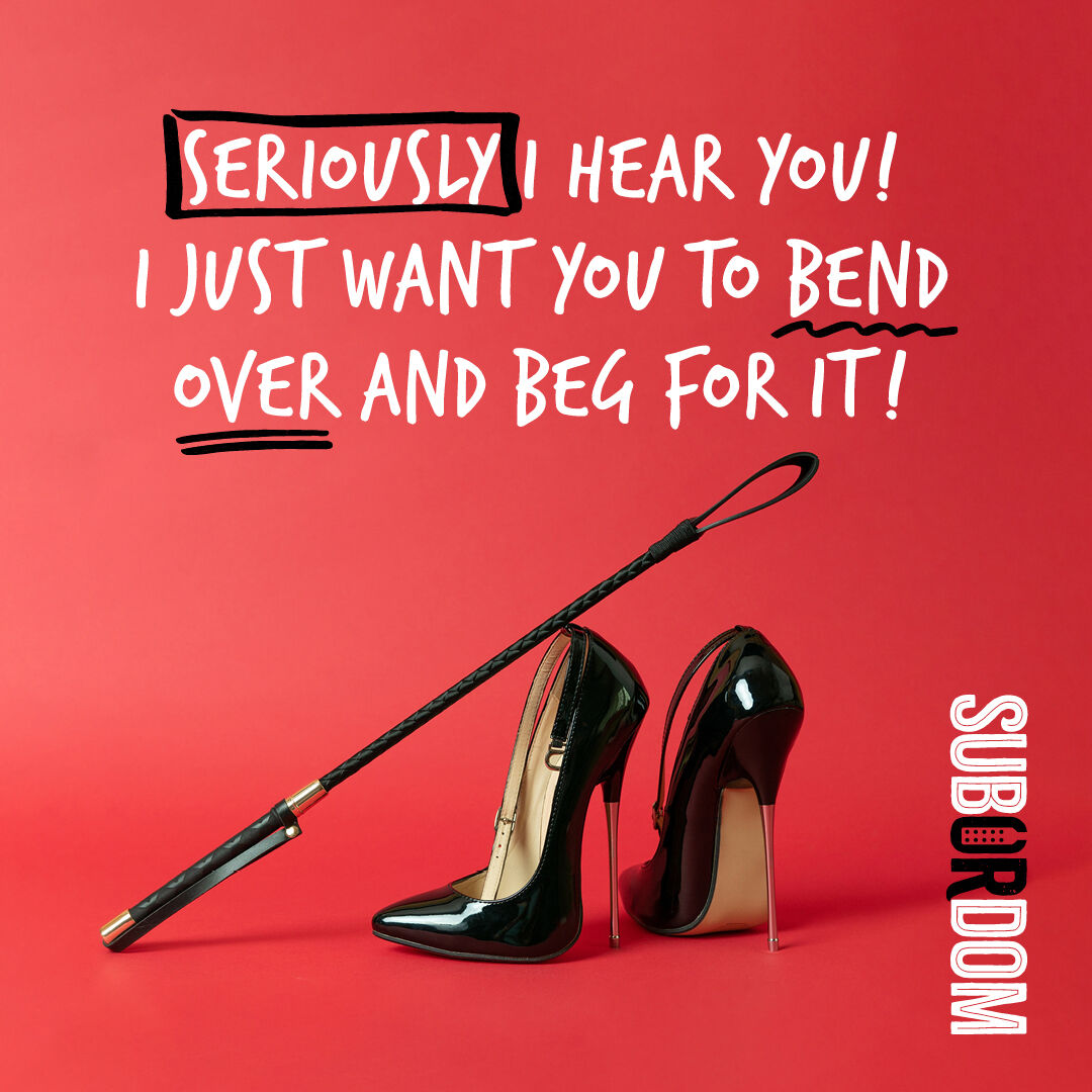 sub_or_dom's tweet photo. Seriously..... Just do as your told.
#bdsm #bdsmdating #femdom #subordom https://t.co/5TDUfEO53C