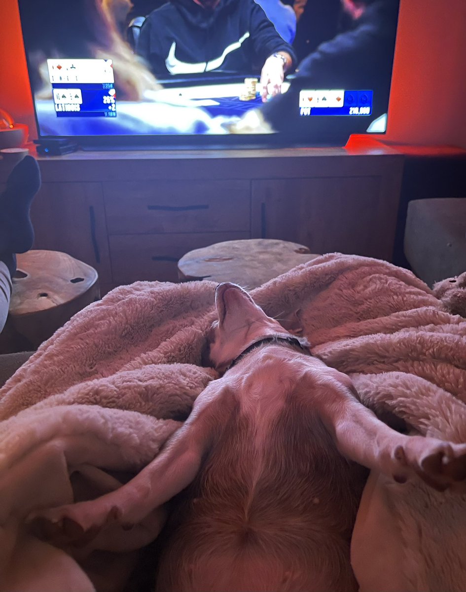 Samantha tweet media