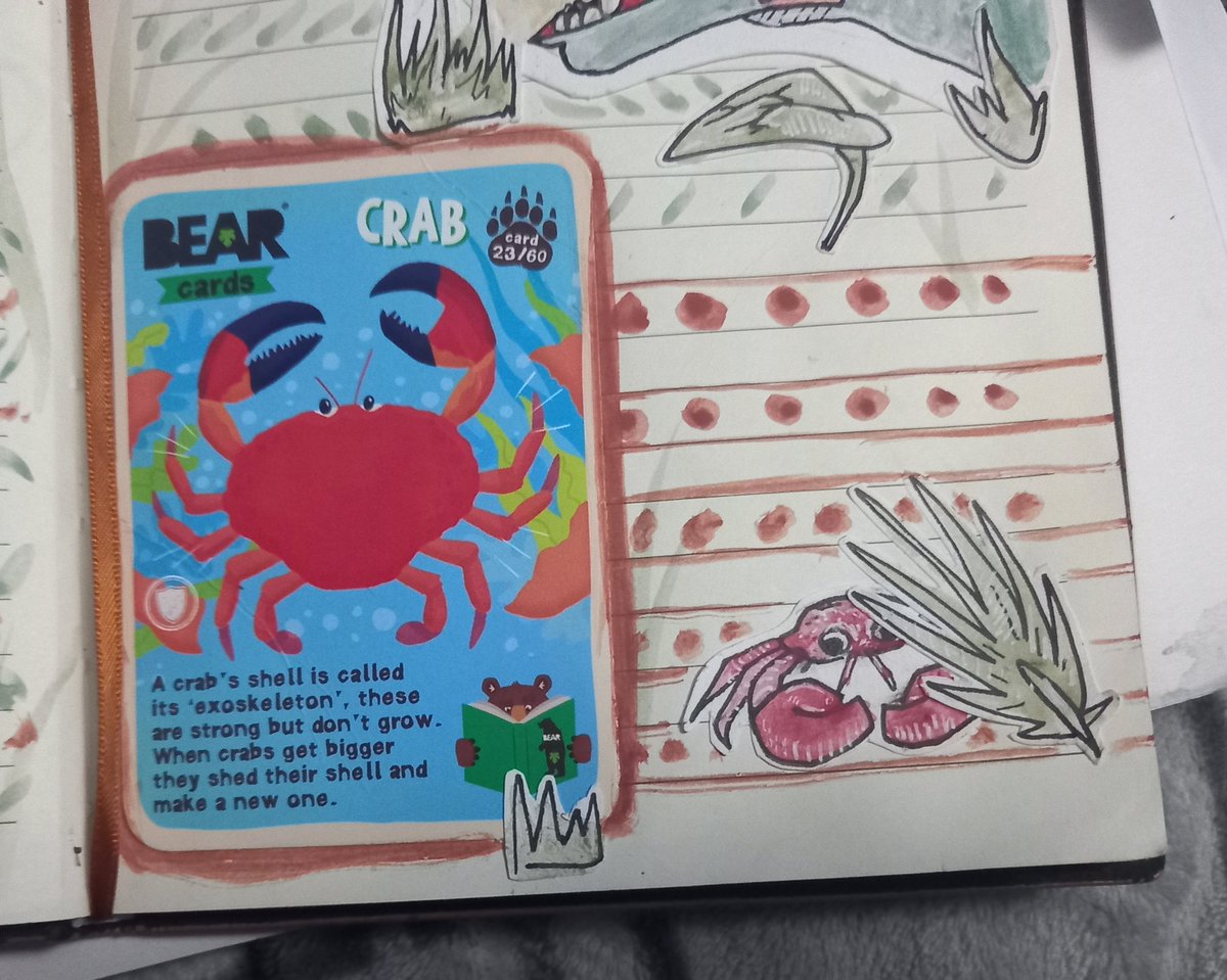 YUTIA_CREATIONS's tweet photo. Hello Peoples!! Ah been a hot minuite since I posted! So I wanted to show off my sketch book again, so my mum gave me this little card with a crab on it and somehow out came dinosuars soo... Yay! If u know me you'll look at these and... yeah there rise turtle inspired heh! https://t.co/aaIFf2JgI2