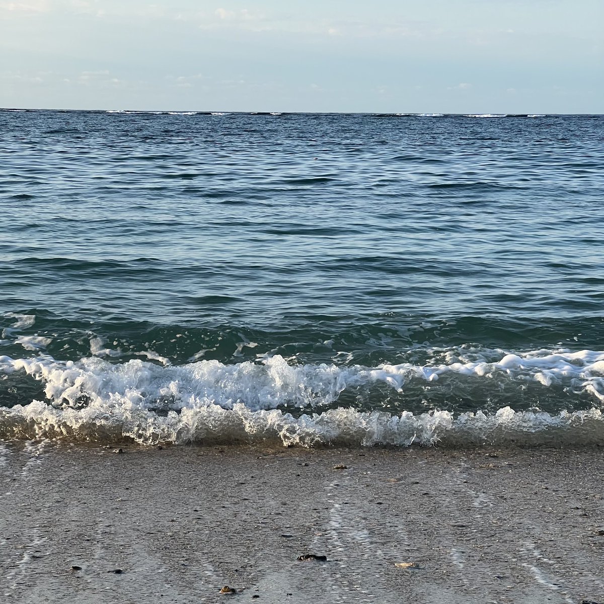 goroishihata's tweet image. GM fam.

🌊🌊🌊🌊🌊🌊🌊🌊🌊
🌊🌊🌊🌊🌊🌊🌊🌊🌊
🌊🌊🪐💗🐥💗🪐🌊🌊
🌊🌊🌊🌊🌊🌊🌊🌊🌊
🌊🌊🌊🌊🌊🌊🌊🌊🌊

#GGM
#Web56