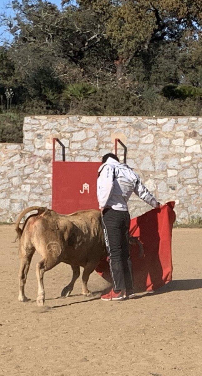 VPuertoOficial's tweet photo. Gran entrenamiento el de hoy #retienta
En el #cardetoreovictorpuerto
Fantásticos los momentos vividos, físicos, sicologicos y sentimentales.
Enhorabuena a los alumnos de hoy, prueba superada
Subiendo escalones, poco a poco,pero con paso firme.
Todo trabajo tiene su recompensa https://t.co/9Y8q2z3MvO