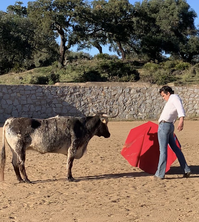 VPuertoOficial's tweet photo. Gran entrenamiento el de hoy #retienta
En el #cardetoreovictorpuerto
Fantásticos los momentos vividos, físicos, sicologicos y sentimentales.
Enhorabuena a los alumnos de hoy, prueba superada
Subiendo escalones, poco a poco,pero con paso firme.
Todo trabajo tiene su recompensa https://t.co/9Y8q2z3MvO