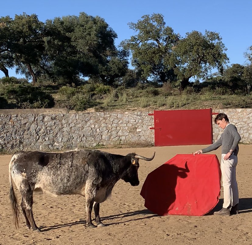 VPuertoOficial's tweet photo. Gran entrenamiento el de hoy #retienta
En el #cardetoreovictorpuerto
Fantásticos los momentos vividos, físicos, sicologicos y sentimentales.
Enhorabuena a los alumnos de hoy, prueba superada
Subiendo escalones, poco a poco,pero con paso firme.
Todo trabajo tiene su recompensa https://t.co/9Y8q2z3MvO