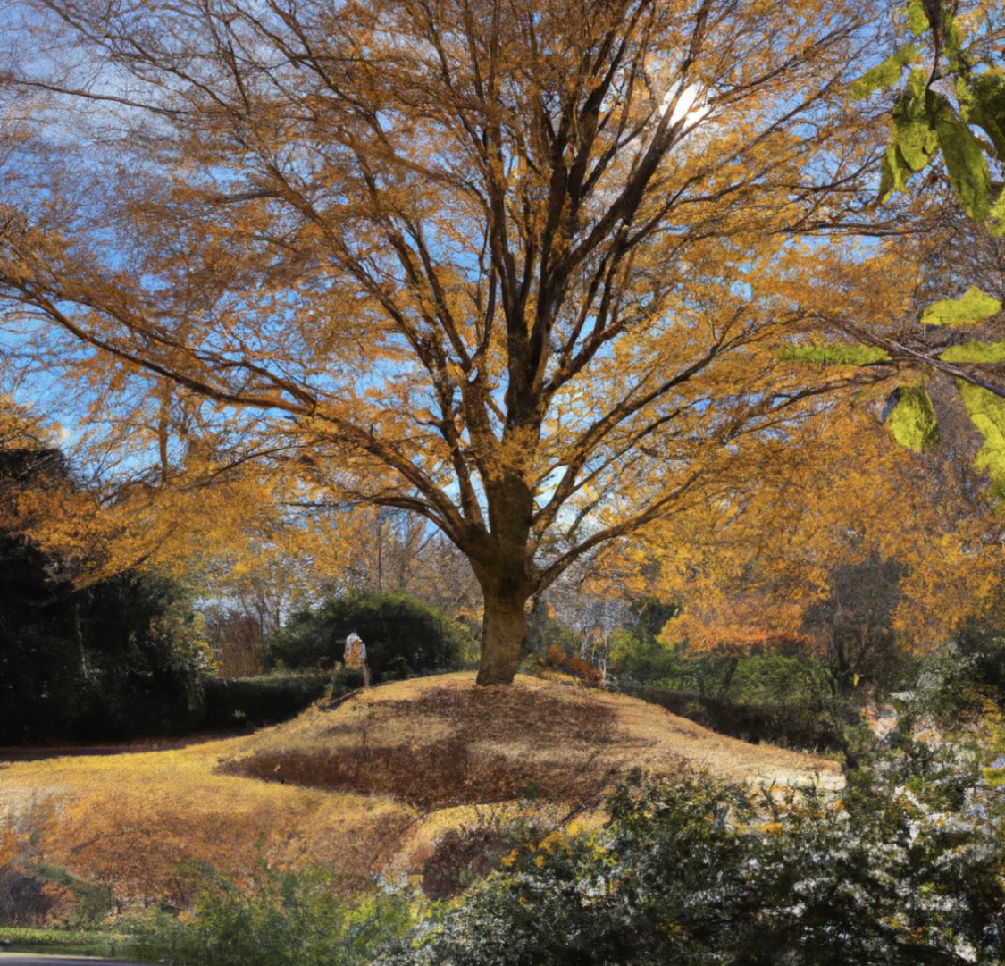 Oh, the light. 😊✋🏻🙏🏻