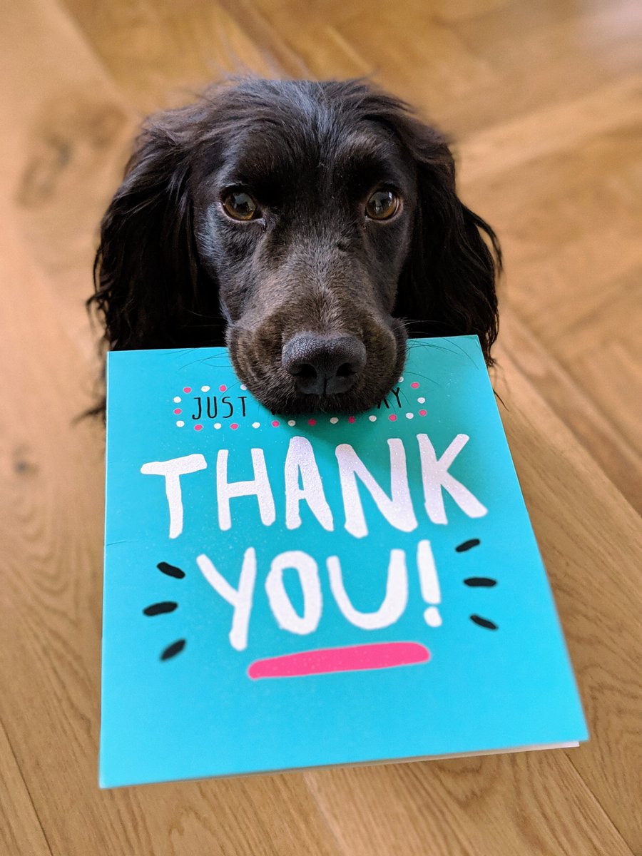 ITAKOM_CONF's tweet photo. We have now awarded all of our Bursary Places! 

A HUGE thank you to all the contributors to the Bursary Fund for their generosity, which has enabled people to attend #ITAKOM, who otherwise could not have done so.

#AllKindsOfMinds #ThankYou #Edinburgh https://t.co/nZa9z6kEVQ