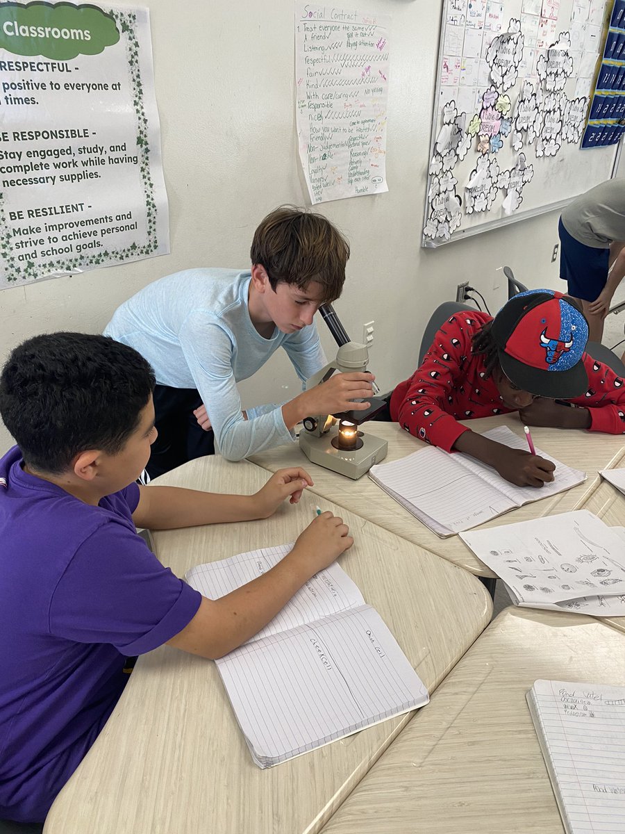 JulioVegaDMS's tweet photo. Lab Day: Young scientists studying pond water organisms, seeing a whole new world they donโt normally see @duncan_middle @pbcsd
#Science #MiddleSchoolScience #ILoveTeaching https://t.co/OTON9CK5v7