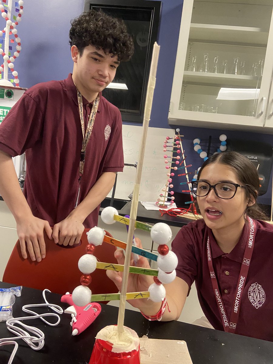 Day 2 of DNA Models for SEP 2. Designs are done and building is progressing! Can’t wait to see finished models tomorrow! #mortonpride