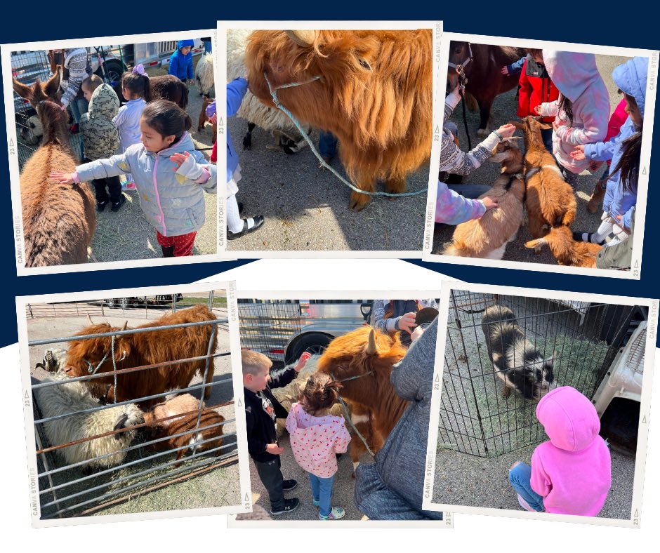 Chisholm Trail Elem tweet media