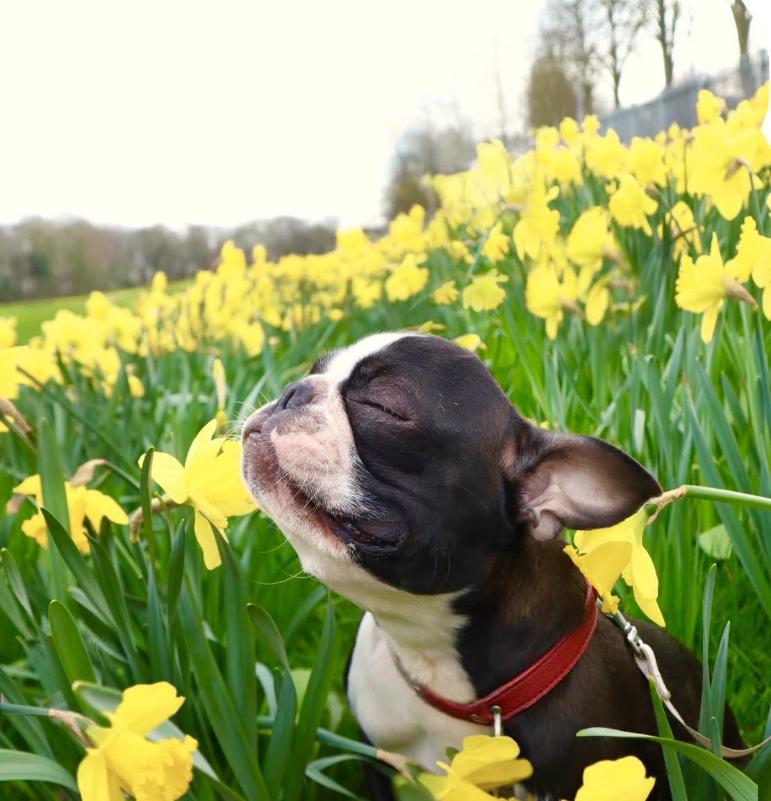 tobythegentleman tweet media