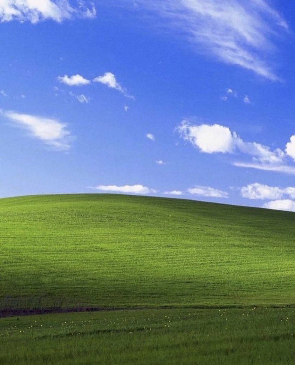 The Internet tweet media