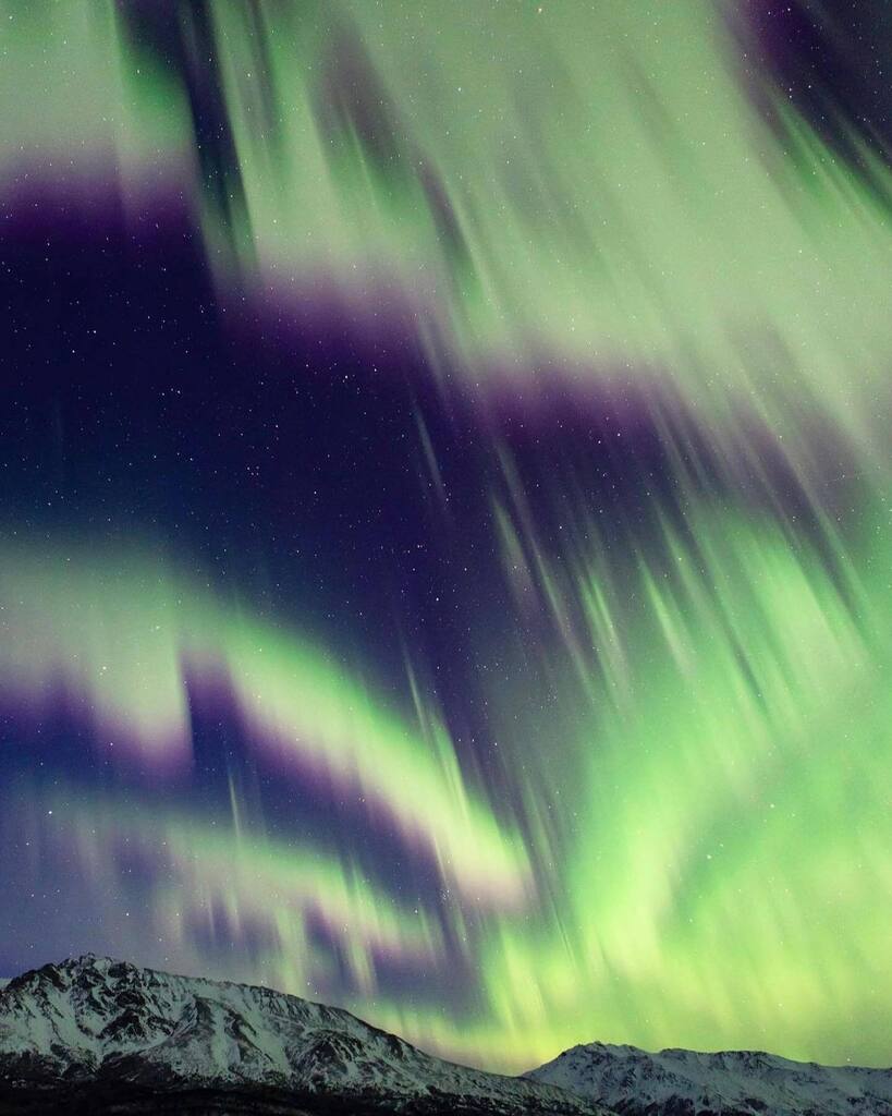 explorfairbanks's tweet photo. Dancing lights in Delta✨
.
.
📸 @galenlott
.
.
#explorefairbanks #alaska #fairbanksalaska #fairbanks #north #travel #northernlights #auroraborealis #aurora #auroras #travelgram #travelphotography #travelblog #alaskalife #traveler #phenomenon #boreali… https://t.co/MsrdDJn8sE https://t.co/fgAEhMSOwz