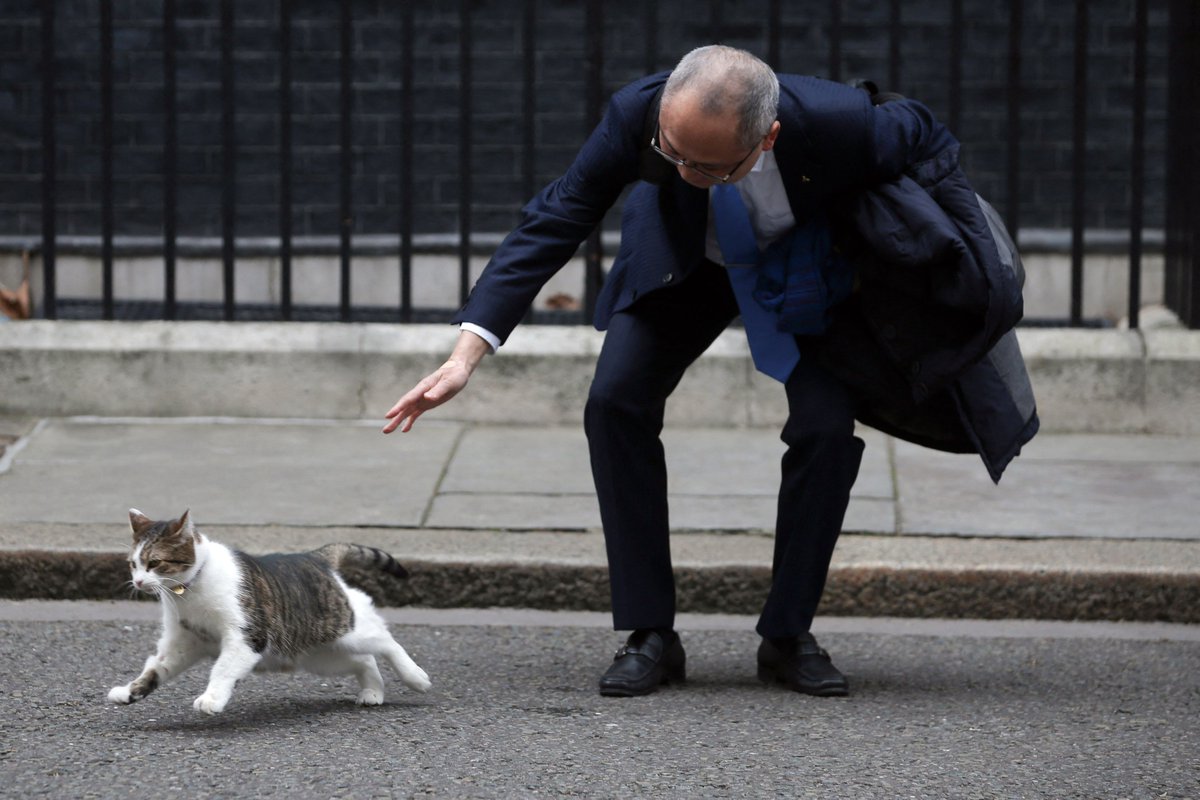 Larry the Cat’s 12 Years as Chief Mouser -  19 photos from Larry's term as Chief Mouser to the Cabinet Office at 10 Downing Street in London, which has seen  five Prime Ministers so far. theatln.tc/fNAxKIWi
