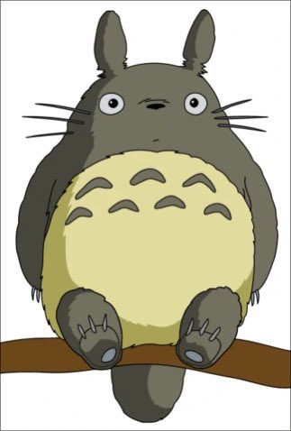 Every is telling me that I am Totoro? I see the resemblance, do you? 

#totoro #myneighbortotoro #flacothowl #birdcpp #anime #owl
