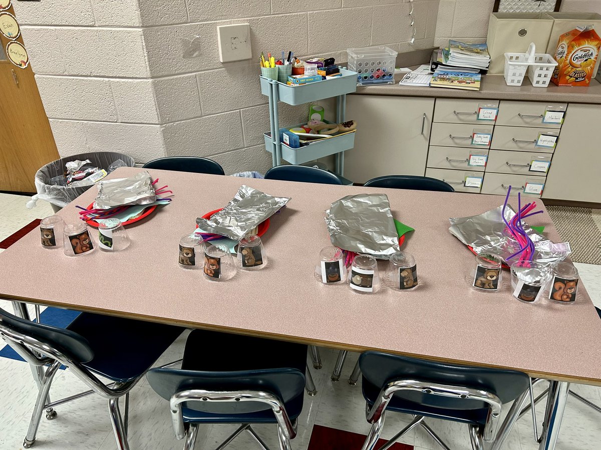 Hayley Icenhour tweet media