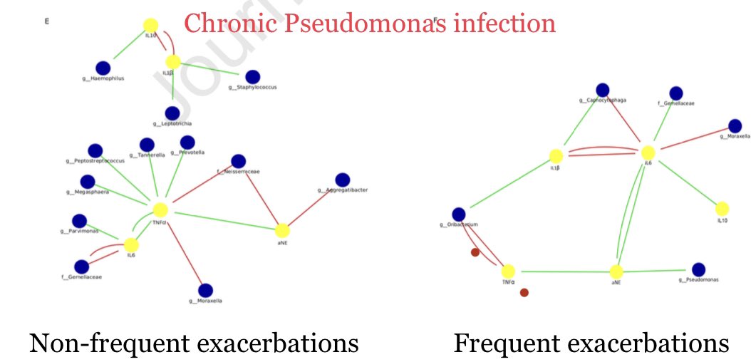 Stefano Aliberti (@alibertistefano) on Twitter photo When does #inflammation overtake microbiology in #bronchiectasis? A proof-of-concept study. <a href="/AndreaGramegna5/">Andrea Gramegna</a> <a href="/Leopoldo_Segal/">Leopoldo Segal</a> <a href="/JayanthKumarNa7/">Jayanth Kumar Narayana</a> reader.elsevier.com/reader/sd/pii/… When does #inflammation overtake microbiology in #bronchiectasis? A proof-of-concept study. <a href="/AndreaGramegna5/">Andrea Gramegna</a> <a href="/Leopoldo_Segal/">Leopoldo Segal</a> <a href="/JayanthKumarNa7/">Jayanth Kumar Narayana</a> reader.elsevier.com/reader/sd/pii/…