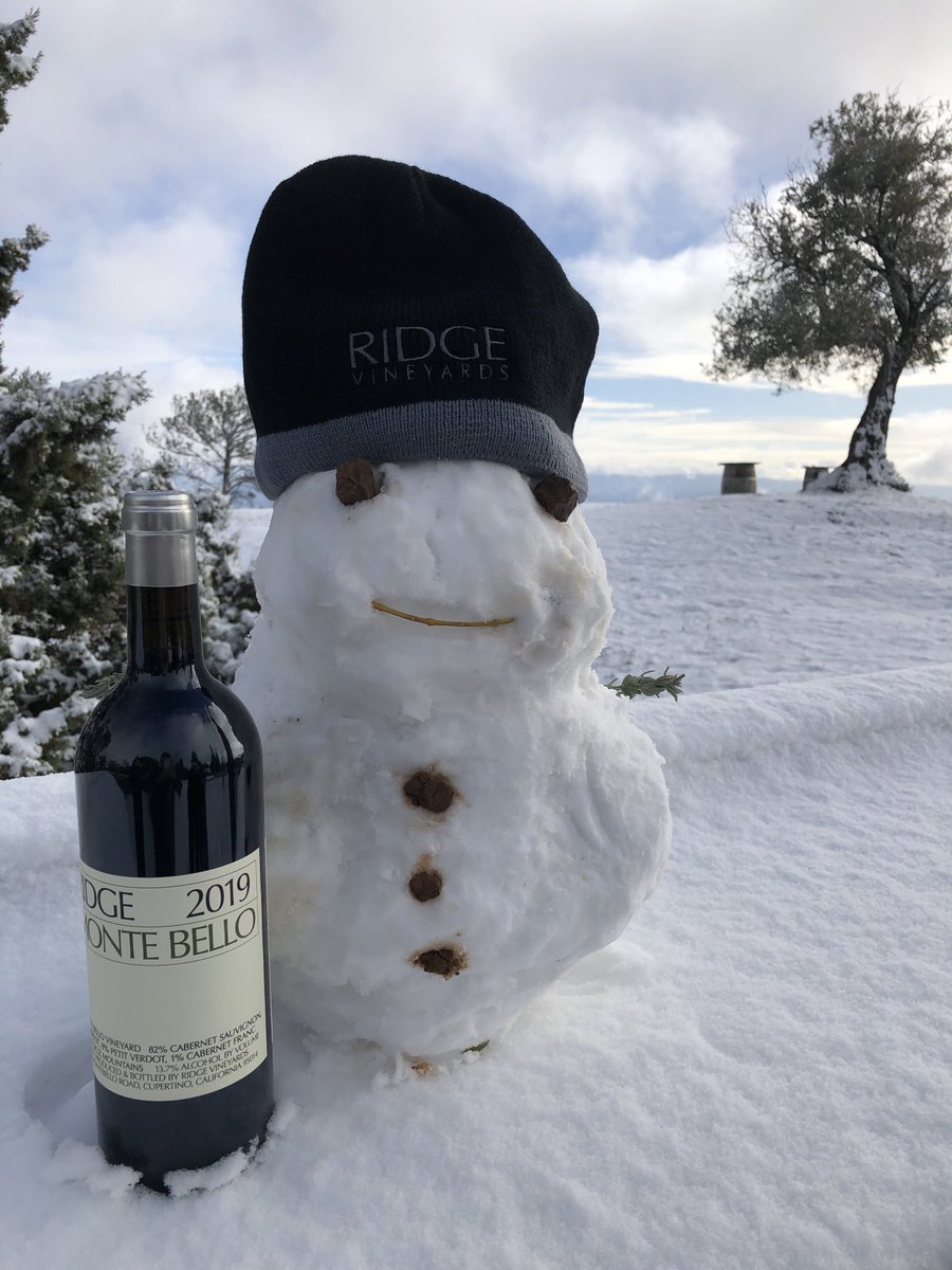 Michael Foley tweet media