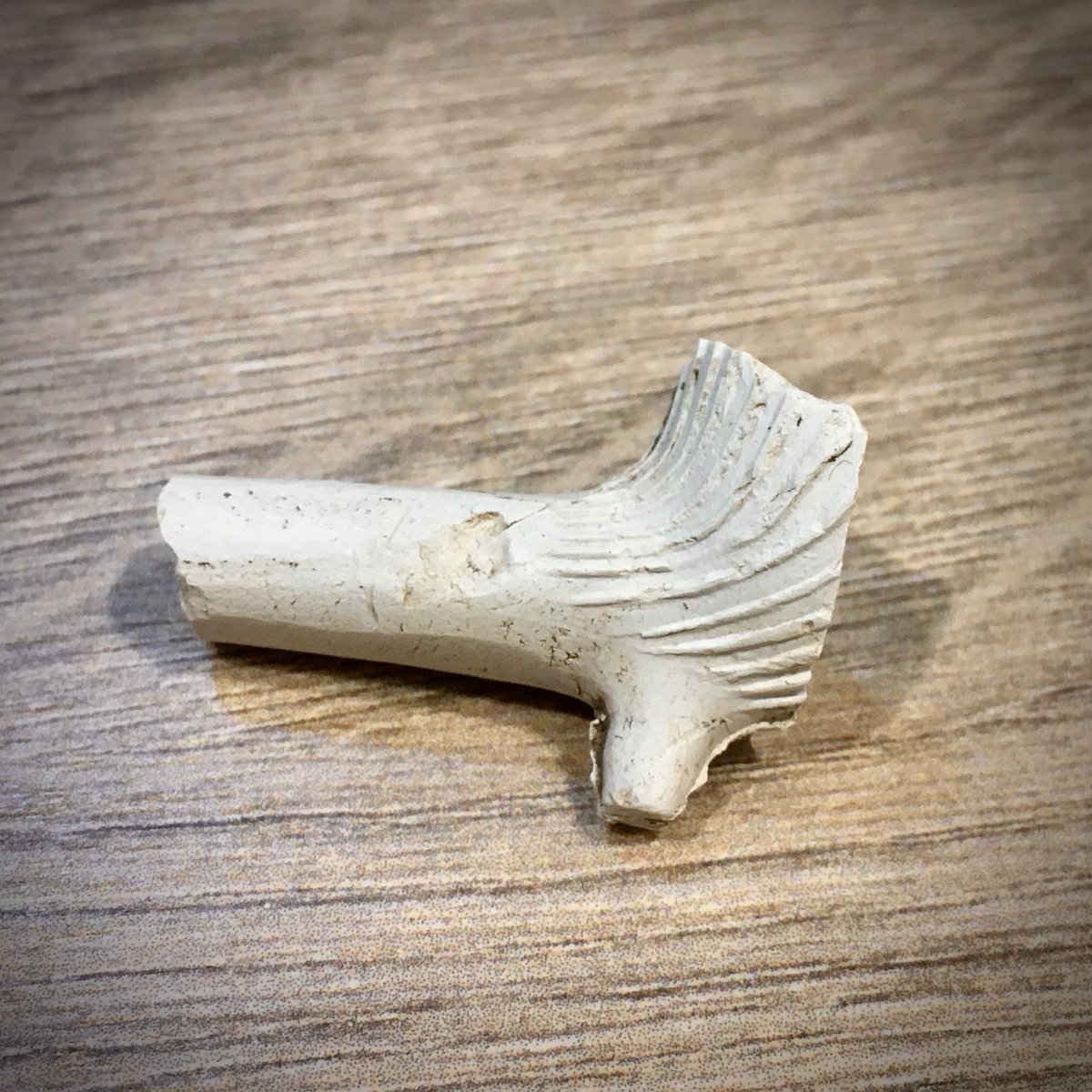 keithtesterliv1's tweet image. That’s my weekend sorted, top up some raised beds with this peat free veg &amp;amp; fruit compost from @RocketGro , walking from shed found part of a clay pipe bowl in the veg bed, I missed this when digging! Got several bits of pipe stems too. #DevonPatch #peatfree #compost @molevalley