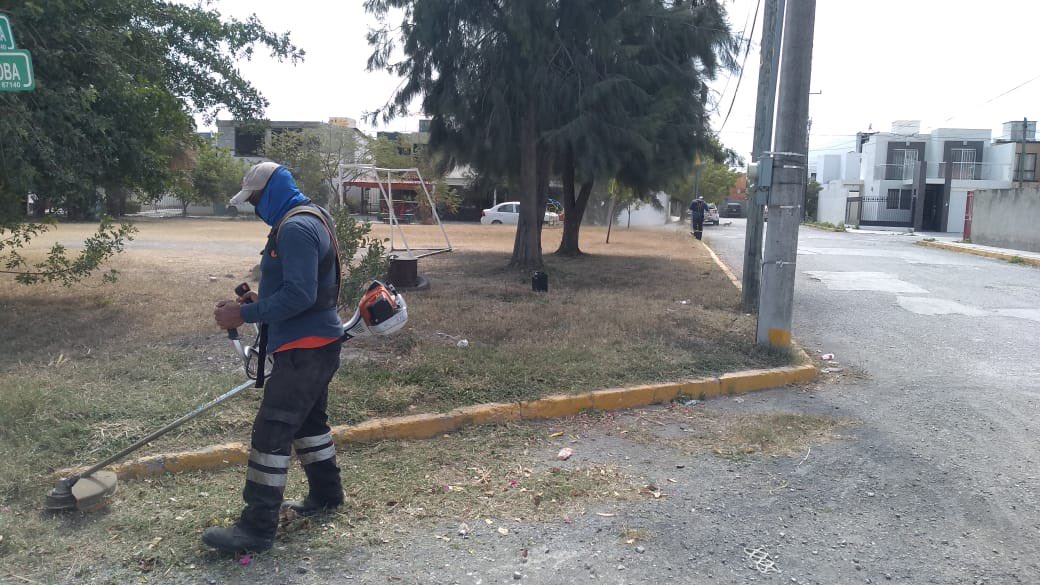 Gob_Victoria's tweet photo. Trabajos de limpieza, corte de maleza y recolección de basura en él área verde del Fracc. Haciendas del Santuario.
@SoyLaloGattas
#ServiciosPúblicos #TransformandoVictoria #TeQuieroMás https://t.co/BGJnYqJDfN