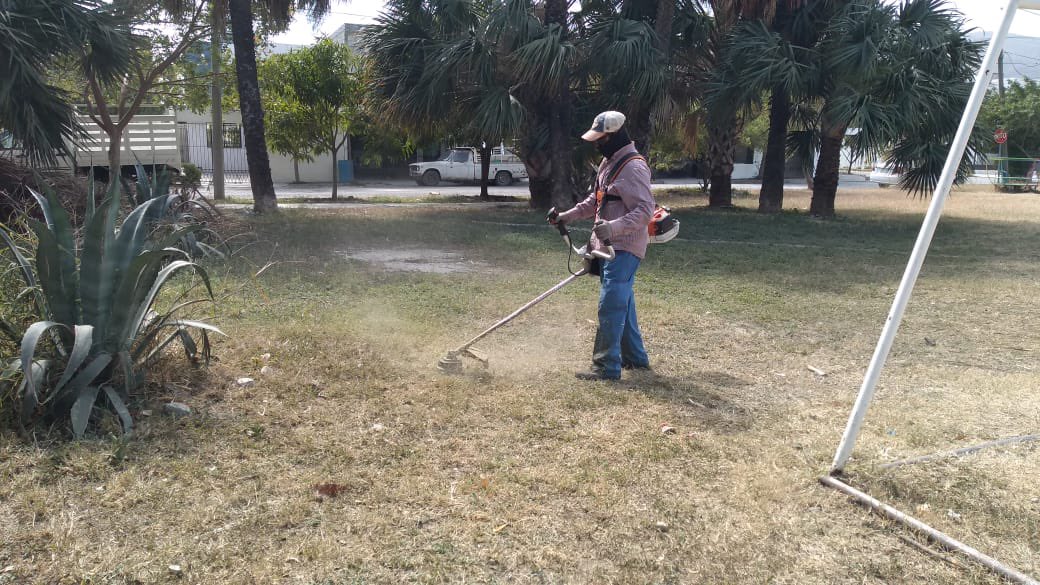 Gob_Victoria's tweet photo. Trabajos de limpieza, corte de maleza y recolección de basura en él área verde del Fracc. Haciendas del Santuario.
@SoyLaloGattas
#ServiciosPúblicos #TransformandoVictoria #TeQuieroMás https://t.co/BGJnYqJDfN