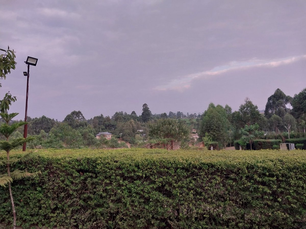 ItsChirchir's tweet photo. Nature pampering...! It wears equivalent (same type) of clothing of different kind, but always pristine and appealing! Its existence is of essence to Mankind. Lets combat climate change by restoring our landscapes #FLaRAK 🌿🌳. @UNDPClimate @UNHABITAT @UNDP @UNDPKenya #FLaRAK https://t.co/XNCoL8JhoV
