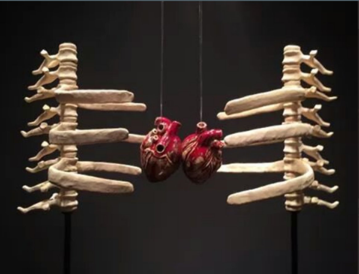 cokmutsuz18's tweet photo. Sarılmanın anatomisi böyle oluyormuş aşırı anlamlı https://t.co/9AUkkv5EOm