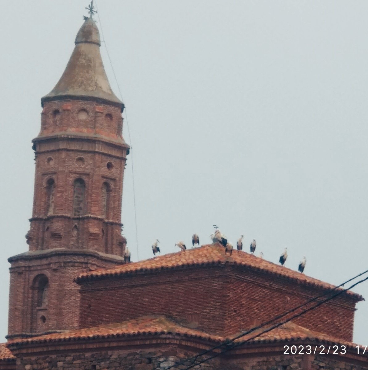 MeteoLoscos's tweet photo. Hoy han visitado #Loscos las #cigueñas. Han venido tantas que han tenido que buscar aposentos en los sitios más insospechados. Muchísimas. ¿Porque será? @eltiempo_atv @AEMET_Aragon @TeruelMeteo @Trassierra @AragonMeteo @meteo_aragon https://t.co/lWoLYO2U9b