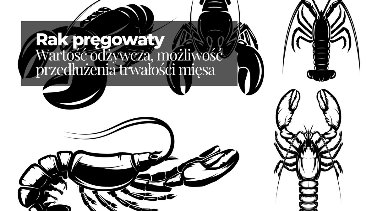 Dietetycy's tweet photo. #Raki pojawiły się na polskich stołach już w XVII wieku na skutek mody, która dotarła do Polski z Niemiec i Francji. Więcej na ich temat także z dietetycznego punktu widzenia przeczytacie w dzisiejszym artykule > https://t.co/XEV8RoMCrp https://t.co/y6EXc98Vd0