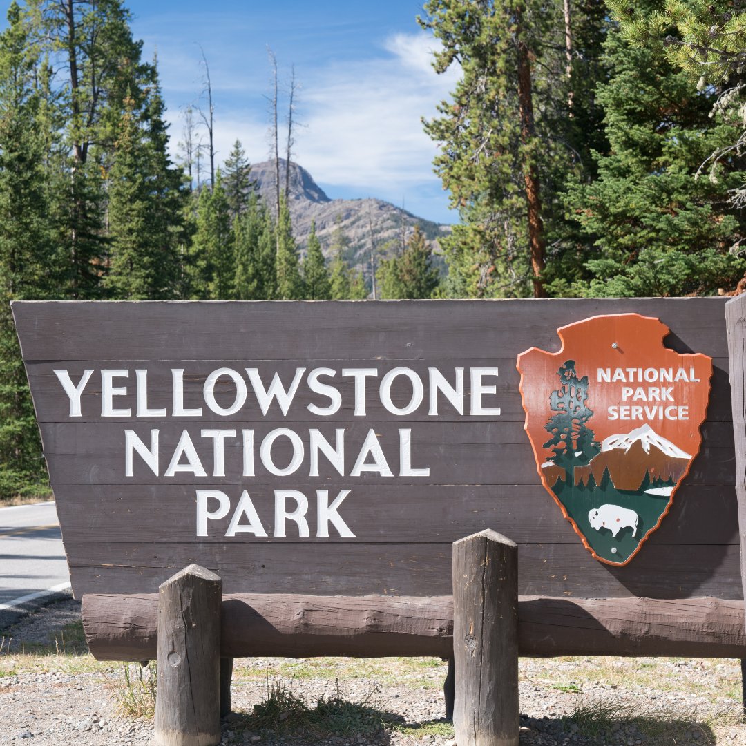 NR_University's tweet photo. Join the #WorkingWildU podcast as @MTWildlifeDoc  and @alex_few explore the issues of hunting wolves in and around Yellowstone NP. Learn what the wolves really mean for the communities around the Park.

Link: https://t.co/RIyoJA0sVm

#yellowstonewolves #yellowstonenp #wolf https://t.co/pDYoGIBT7m