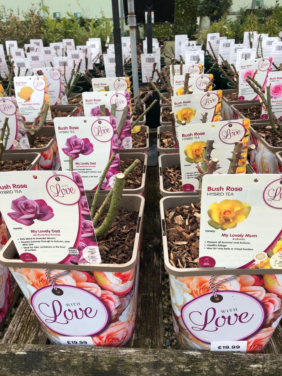 Mud Island GdnCentre (@mudislandcentre) on Twitter photo 