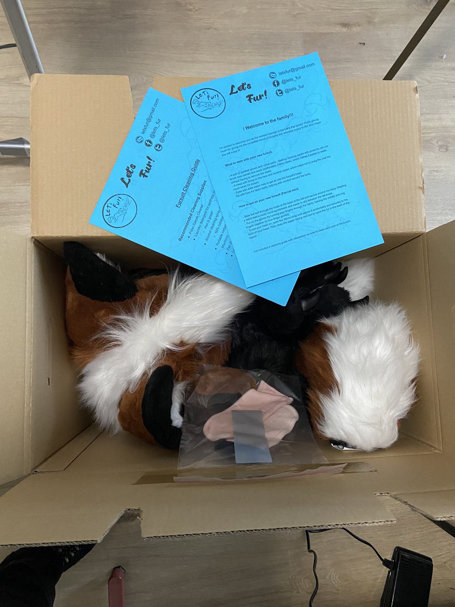 lets_fur's tweet photo. This boy is leaving for his new home!

Next premade coming soon!

#fur
#fursuit #fursuitwip #fursuitmaker #fursuitfriday #furry #furries  #furryfandom #fursuiter #fursuitcommission #fursuitsale  #furmeet #makers #3d #3dprinter 
#letsfur #premade #fox #mascotte #fursuitpremade https://t.co/33l0cmiMum