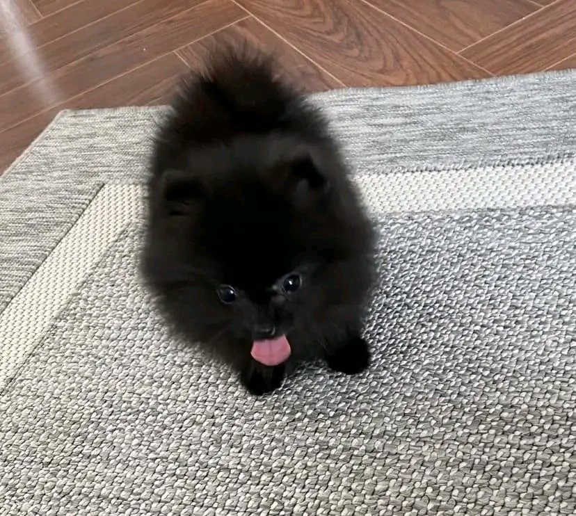 Mokom MlTA (@mltamokom) on Twitter photo 