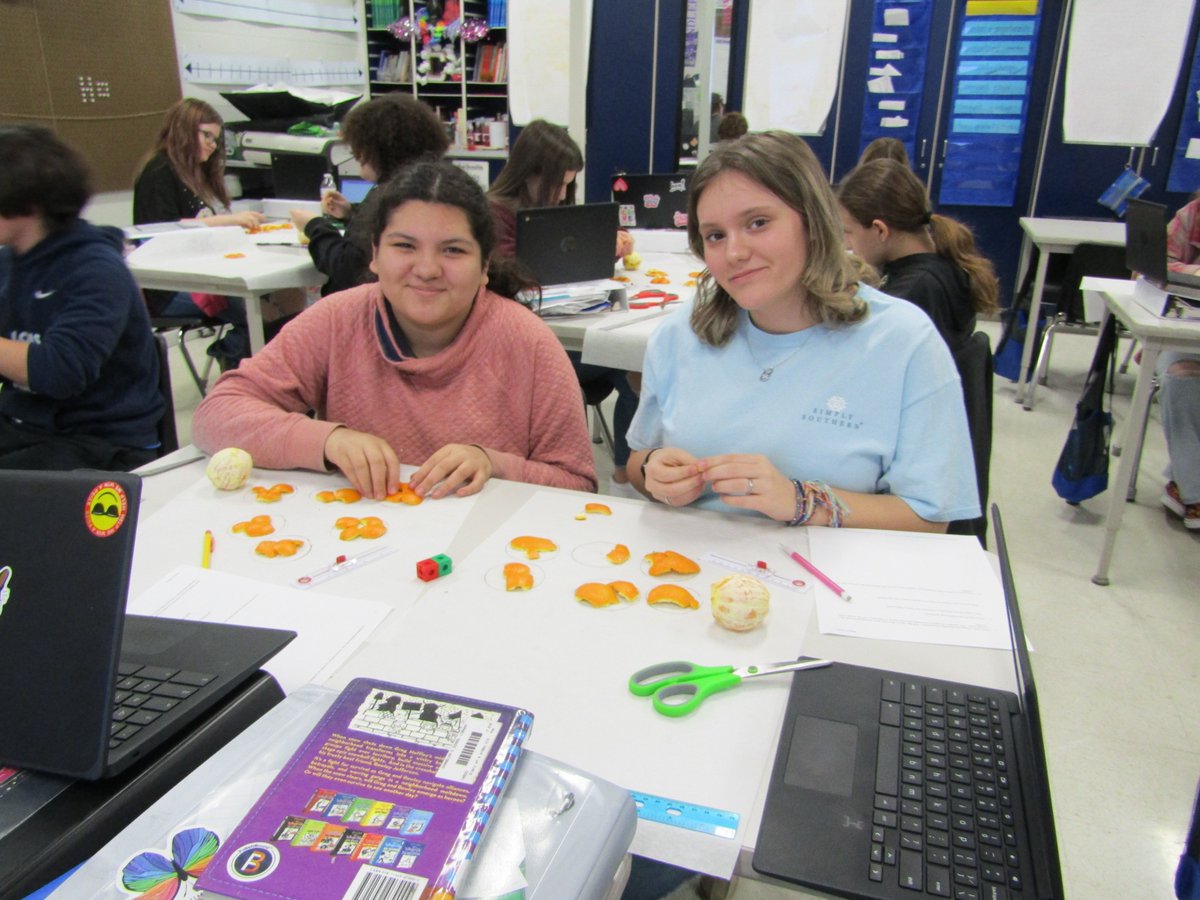 sascunning's tweet photo. 8th Grade learners @ChandlersSchool had 'An "Apeeling" Problem' about surface areas of spheres today.  How many great circle areas equal the surface area of the sphere? #LCPride @AdvanceKentucky #LayingtheFoundation @NMSI https://t.co/ihrwuKAMjy