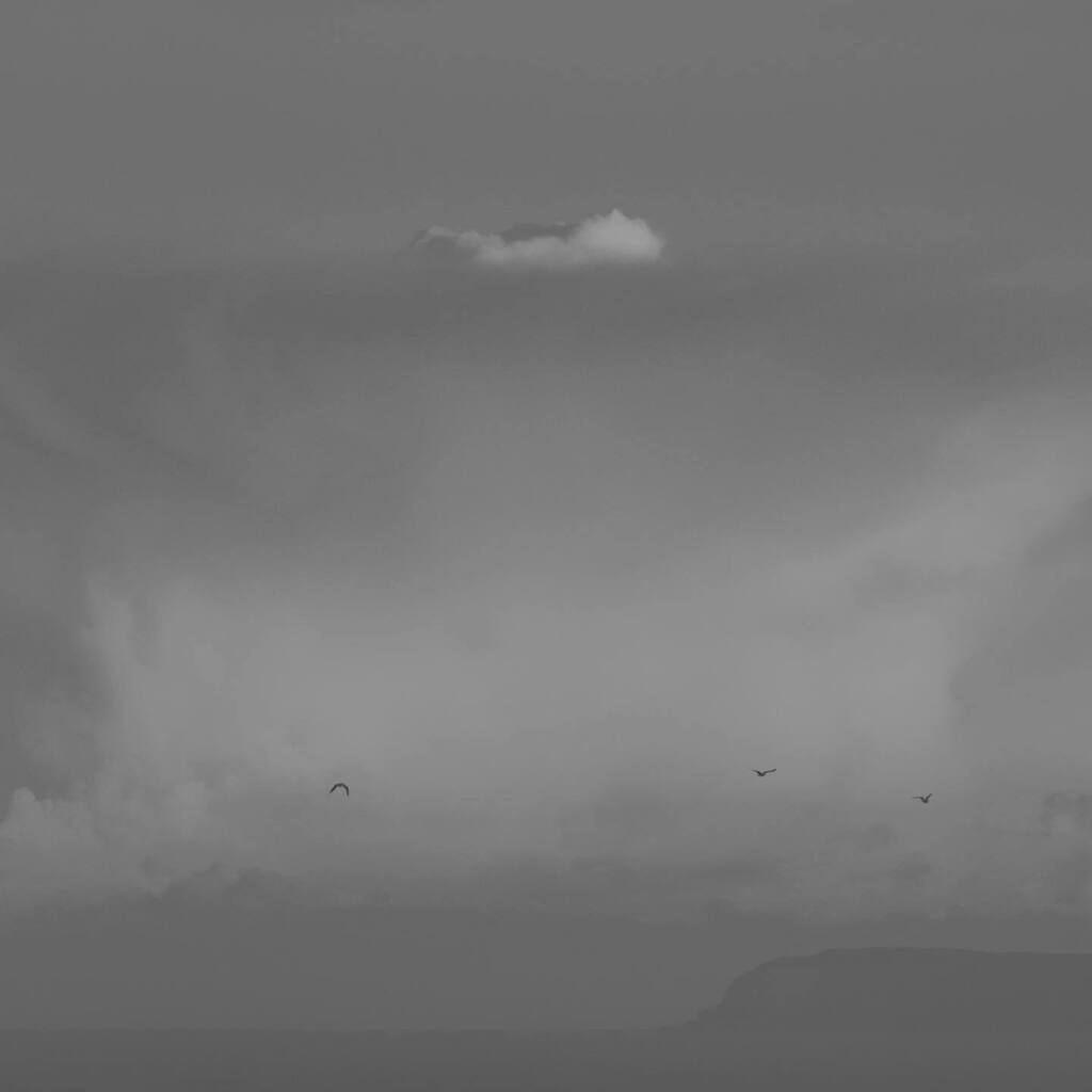 SeafieldStreet's tweet image. Cloudy (with birds)
12.12.22

#viewfromawindow #whitehills #scotland #aberdeenshire #winter #sky #sunset #clouds #cloudphotography #cloudlovers #leica #leicacamera #sharemysigma #sigmaonelens #sigma150600 #sigma150600dgdn #sigmadgdn #sigmasport #sigmaart… instagr.am/p/CpA-FrIIZS5/