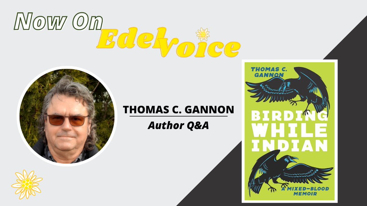 Thomas C. Gannon shares more about his upcoming book Birding While Indian: A Mixed-Blood Memoir, why he never thought of the work as a memoir, and the impossibility of writing about birds without being political. Read now here! abovethetreeline.com/edelvoice-thom…