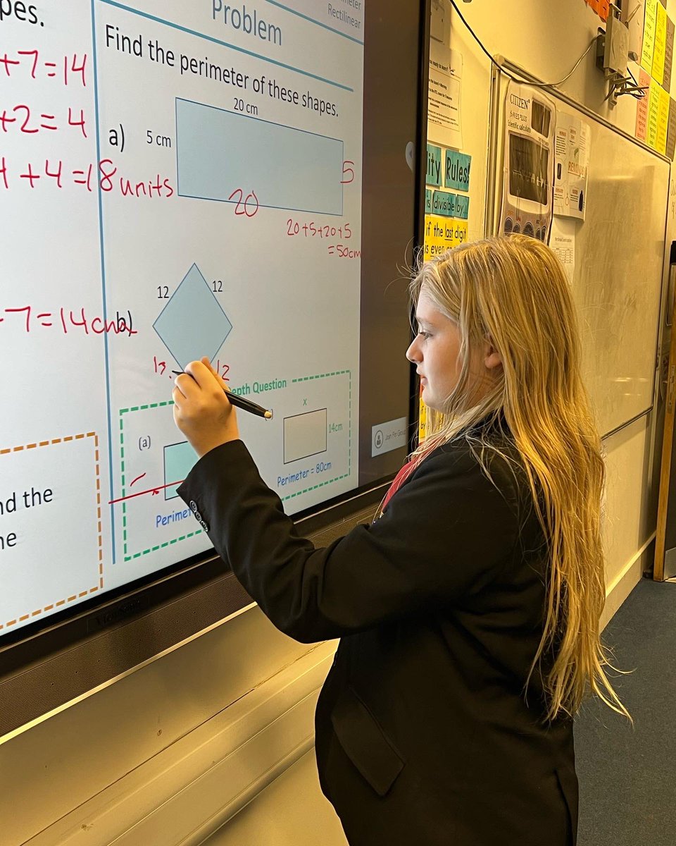 Team Victory Mathematics tweet media