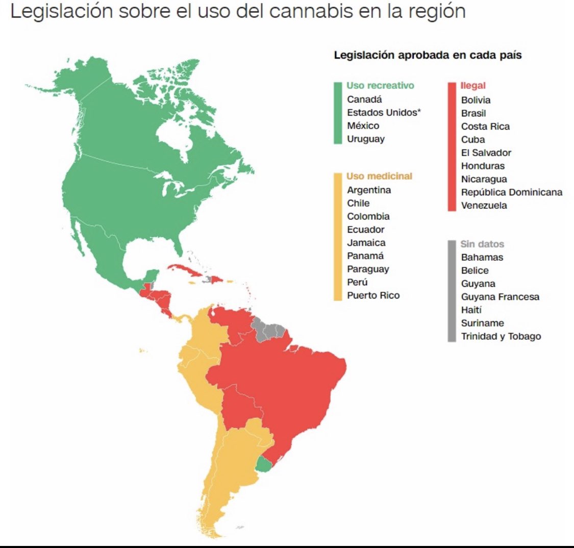 SusanaBoreal's tweet photo. Si quieren estigmatizar el consumo de cannabis los invito a darle una mirada global al tema.

Abro Hilo 🧵⬇️

#YoTambiénLoPego
#YoConsumo

https://t.co/vy38ORLaed https://t.co/4svzMMyRBW