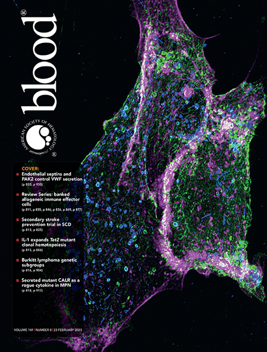 Blood Journals Portfolio tweet media