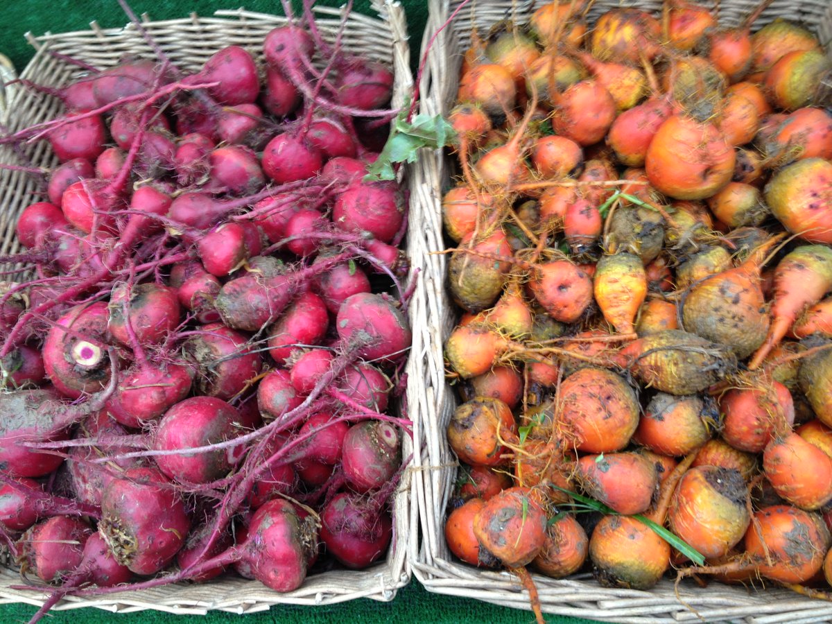 Growing Communities on Twitter "There is so much more to winterveg